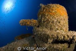 Iron orange by Victor Amor 